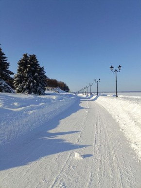 Снежные приключения: зима, чай и радости зимних дней