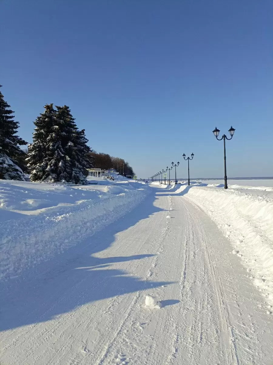Снежные приключения: зима, чай и радости зимних дней