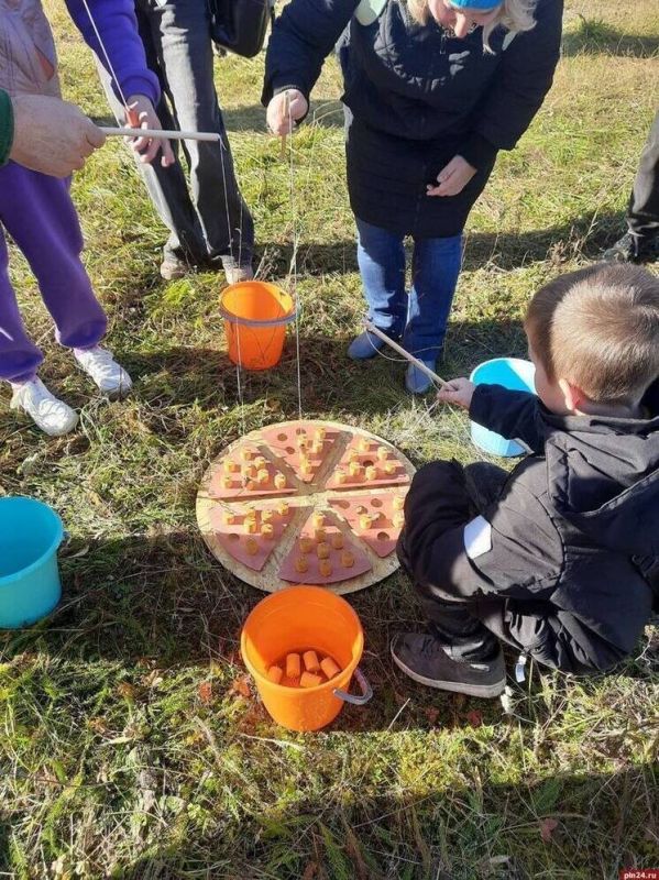 ��������� ���� � ��������: ��������, ������ ������� � ��������