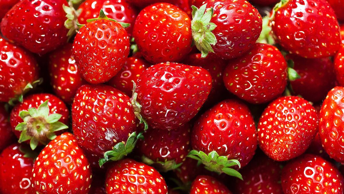 ��� ������� ��������� ��������: ������� ������� ������ ����