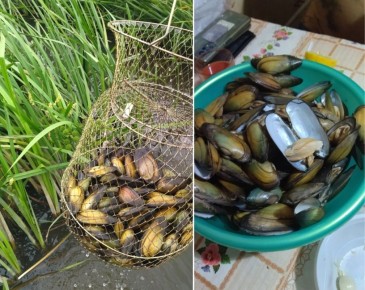 ���� �� ������� ������: ��������� �� ���� ������������ �����?