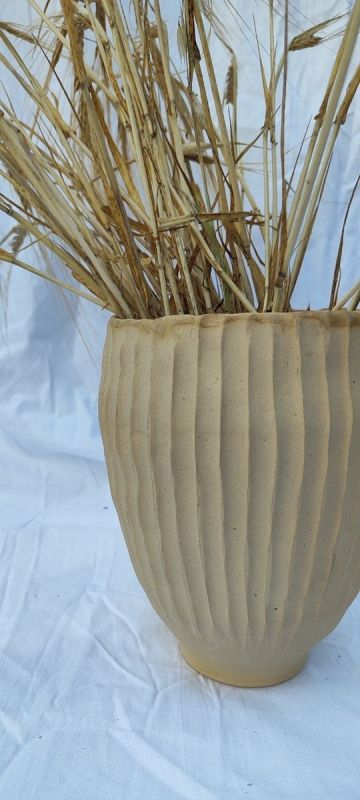 ��� �������� � �����: ���������� ���������� Koticeramica � ��������