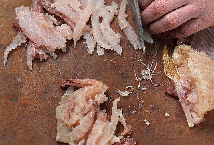 ������ ����������: ��� ���� ������ � ���� ��������� ���������� ������������