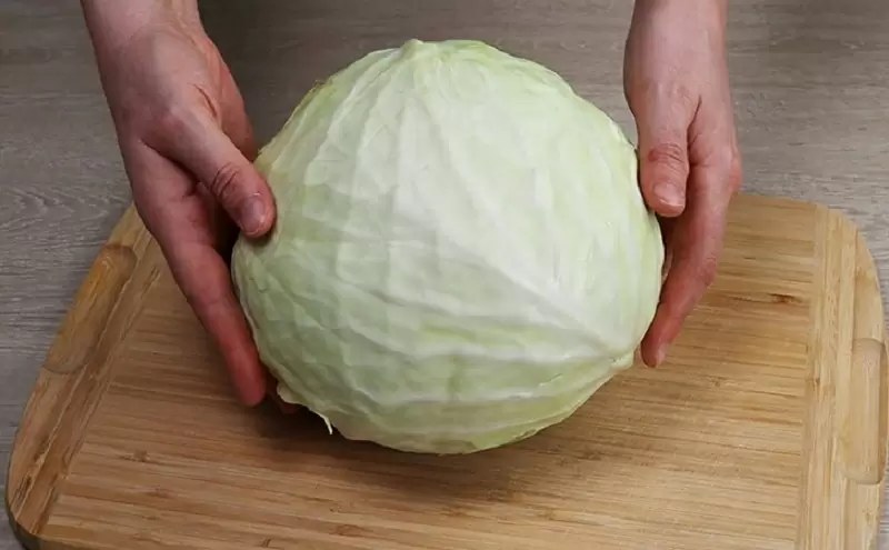 Капуста в главной роли: пять оригинальных рецептов для вашего стола