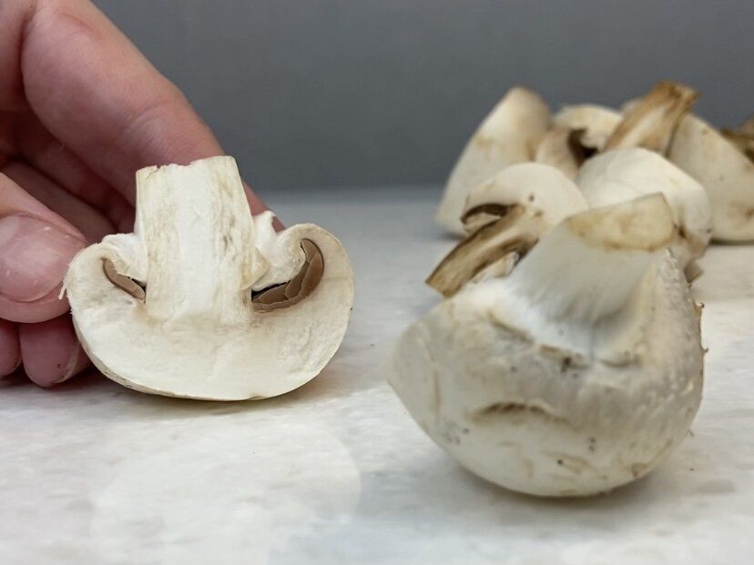 ��� � �������� �����: irresistible �������, ������� ����� � ����� �������� ������