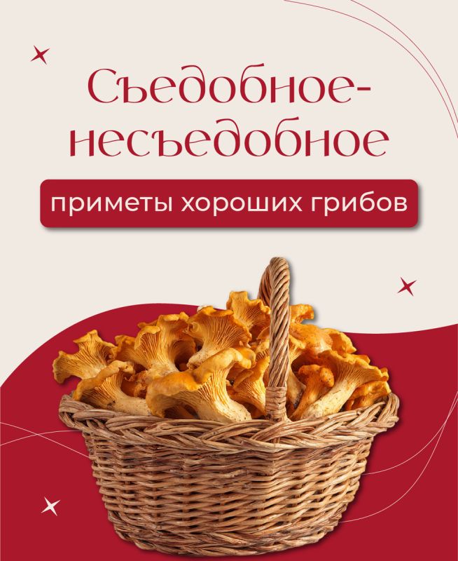 ����� ������ �����������: ��� �������� ��������� ����� �� ��������