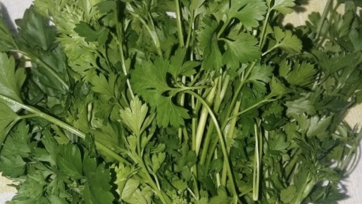 ��� � 60 ��� ������� ������� ������� �����������: ������� ������ � �������� ��������