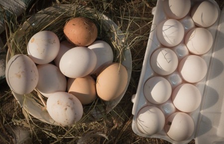 ������ ������������: ��� ������� ������������ � ���������� �������