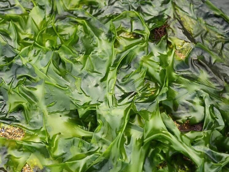 ������ � ������������� ����� ������� ���������� � ����� �������