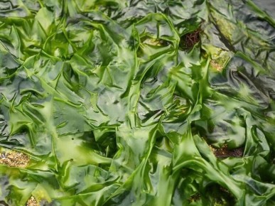 ������ � ������������� ����� ������� ���������� � ����� �������