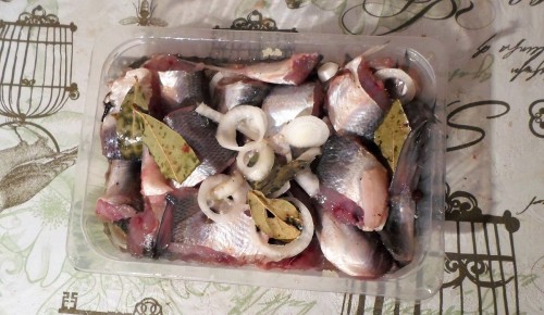 ����� � �������: ��� ������ ���������� ���� � ���������