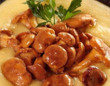 ������� � ���������