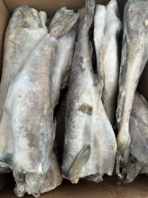 ����� ������������� ������: ������ �� ����� �����������