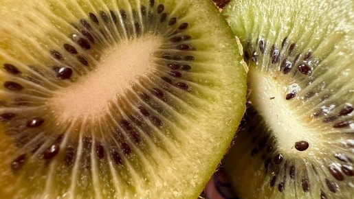 ����: ������ ����������� ������ � ����� �� ������ ����������