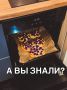 ������ ��������: ���� ��� ������ �������