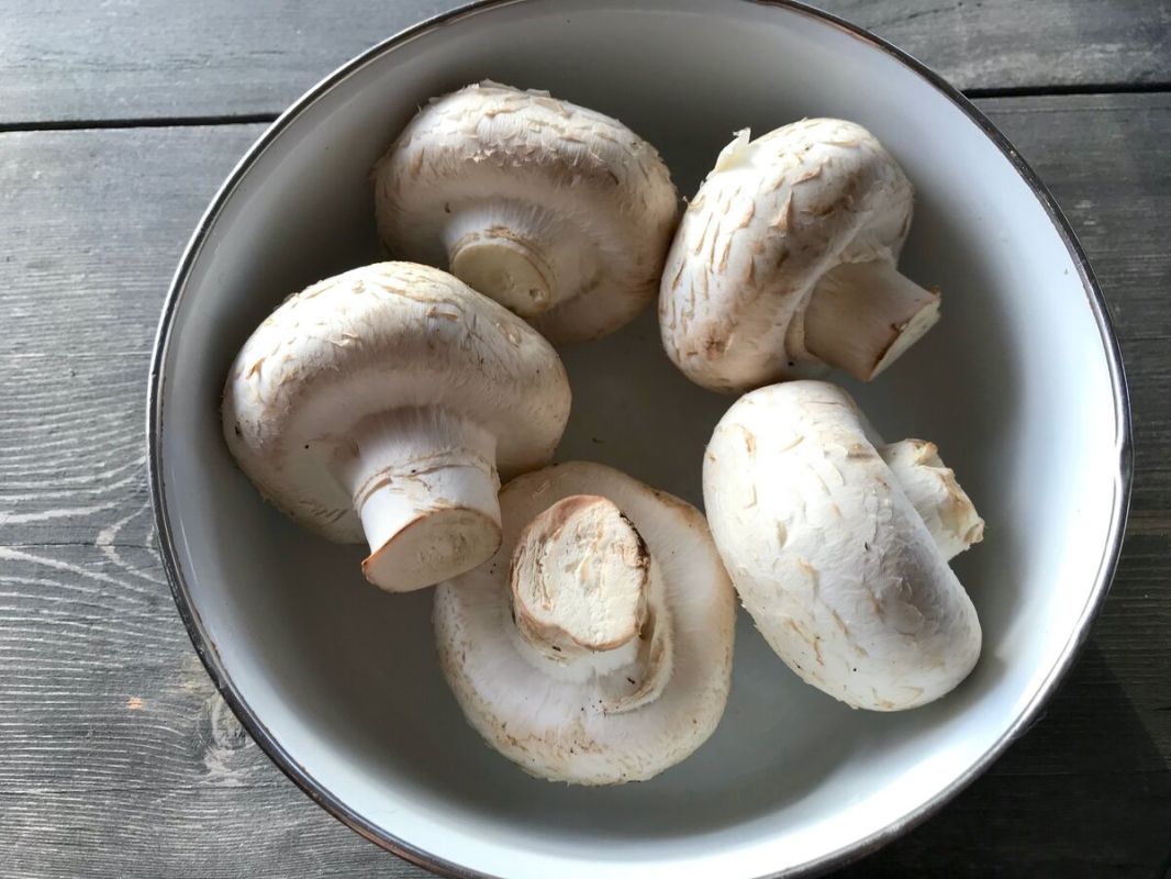 Легкий жюльен из шампиньонов: простой и вкусный рецепт для гостей