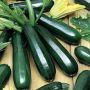 Лучшие сорта кабачков для консервирования: 5 удивительных находок