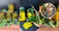 Необычные рецепты маринованных огурцов на зиму