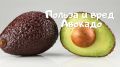 Авокадо и его роль в процессе похудения: стоит ли доверять "суперфуду"?