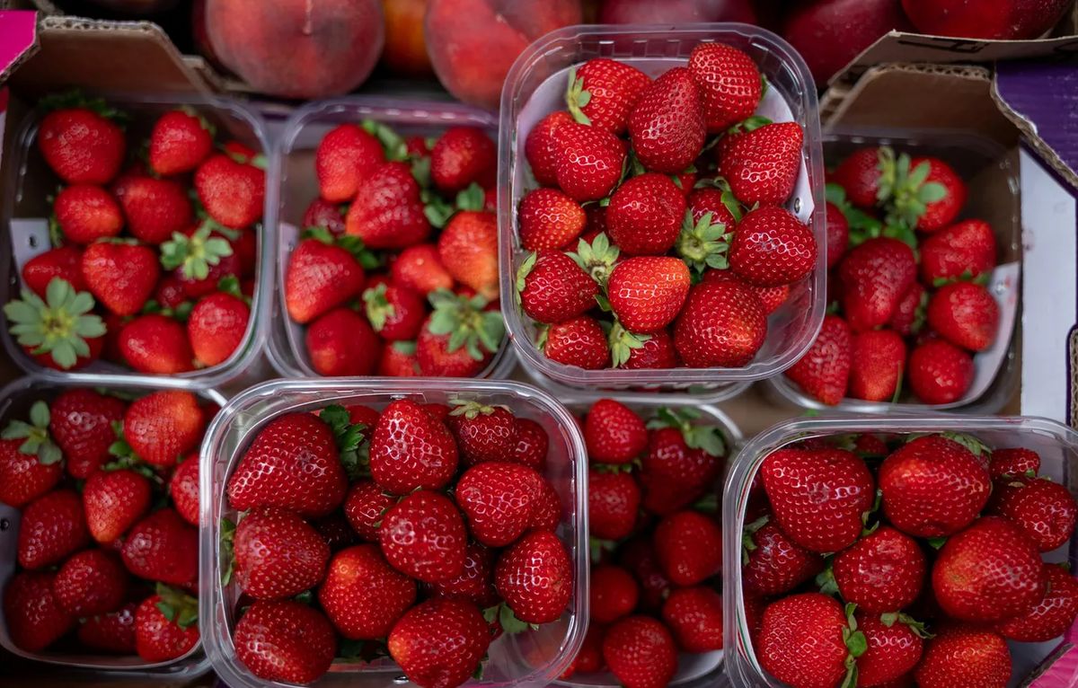 Летние лакомства России: наслаждаемся вкусом свежих продуктов